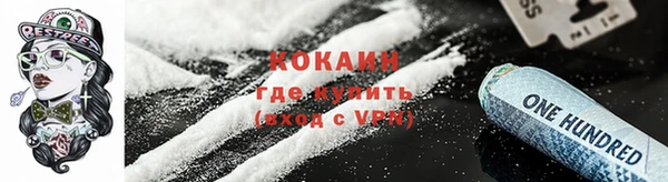 apvp Аркадак