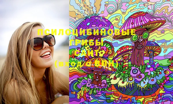 эйфоретик Шадринск