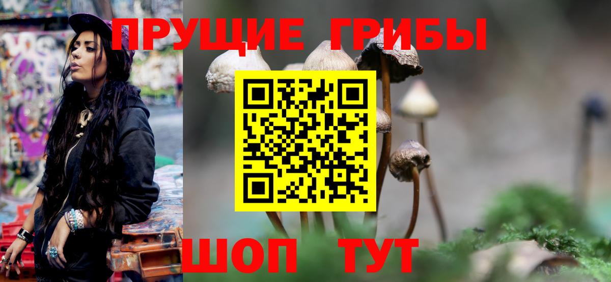 Псилоцибиновые грибы Psilocybine cubensis  Вход с VPN  Стрежевой  Галлюциногенные грибы мухоморы 