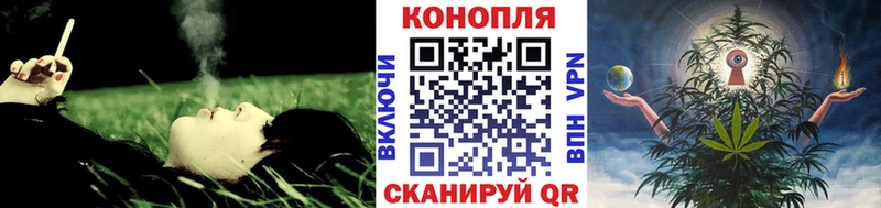 Конопля AK-47  что такое   Стрежевой 